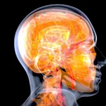 16-Brtual-Daily-Habits-That-Age-Your-Brain-10-Years-Faster-Neuroscientists-Just-Confirmed