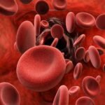 Thalassemia (1)